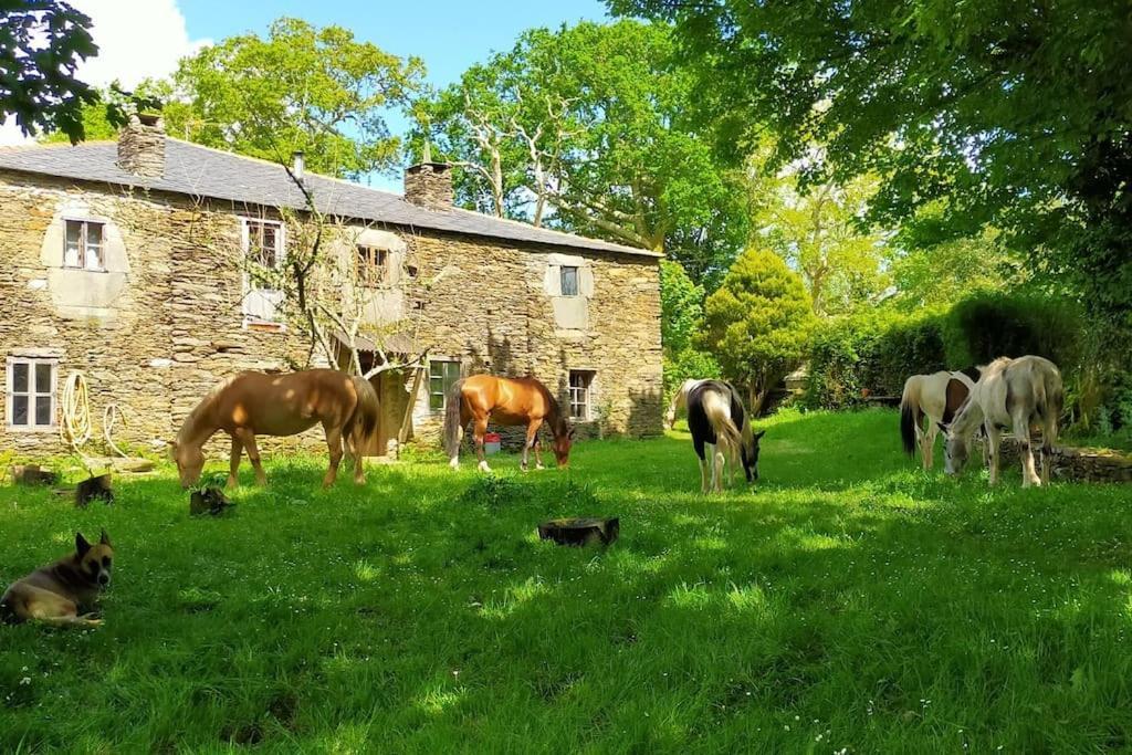 Granja Labrada: Alojamiento con caballos Manon Exterior foto