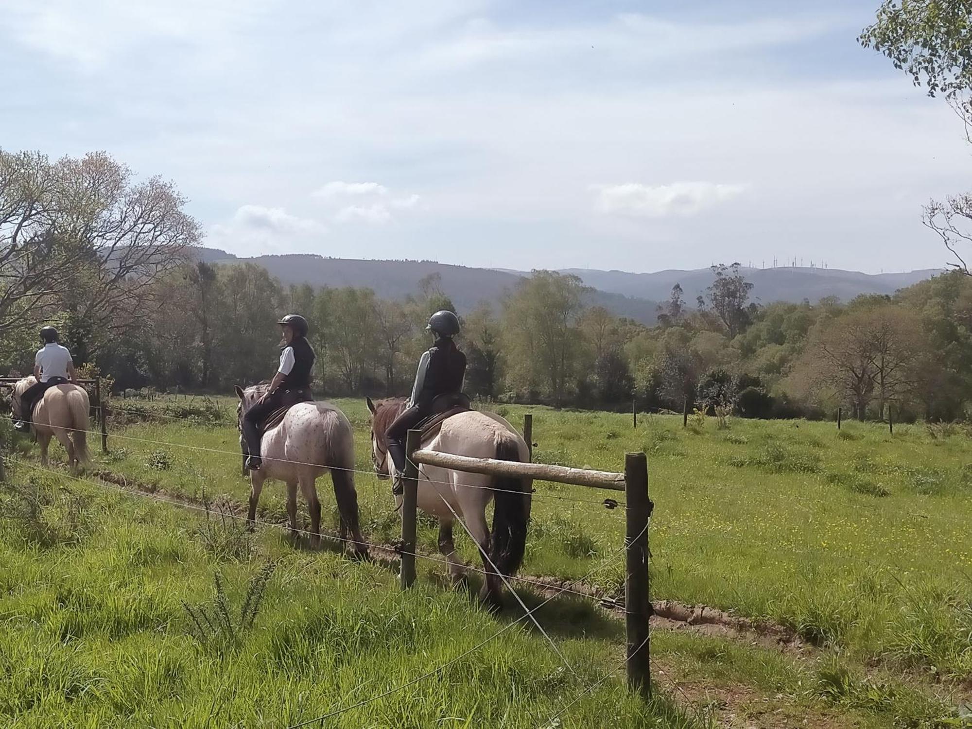 Granja Labrada: Alojamiento con caballos Manon Exterior foto